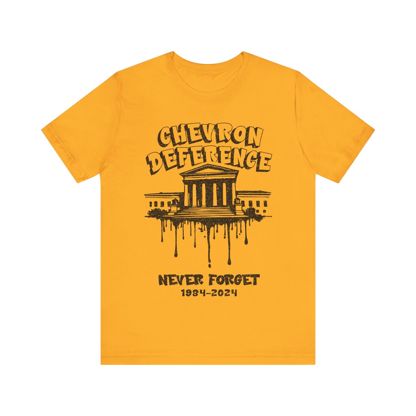 Chevron Deference Never Forget 1984-2024 T-Shirt